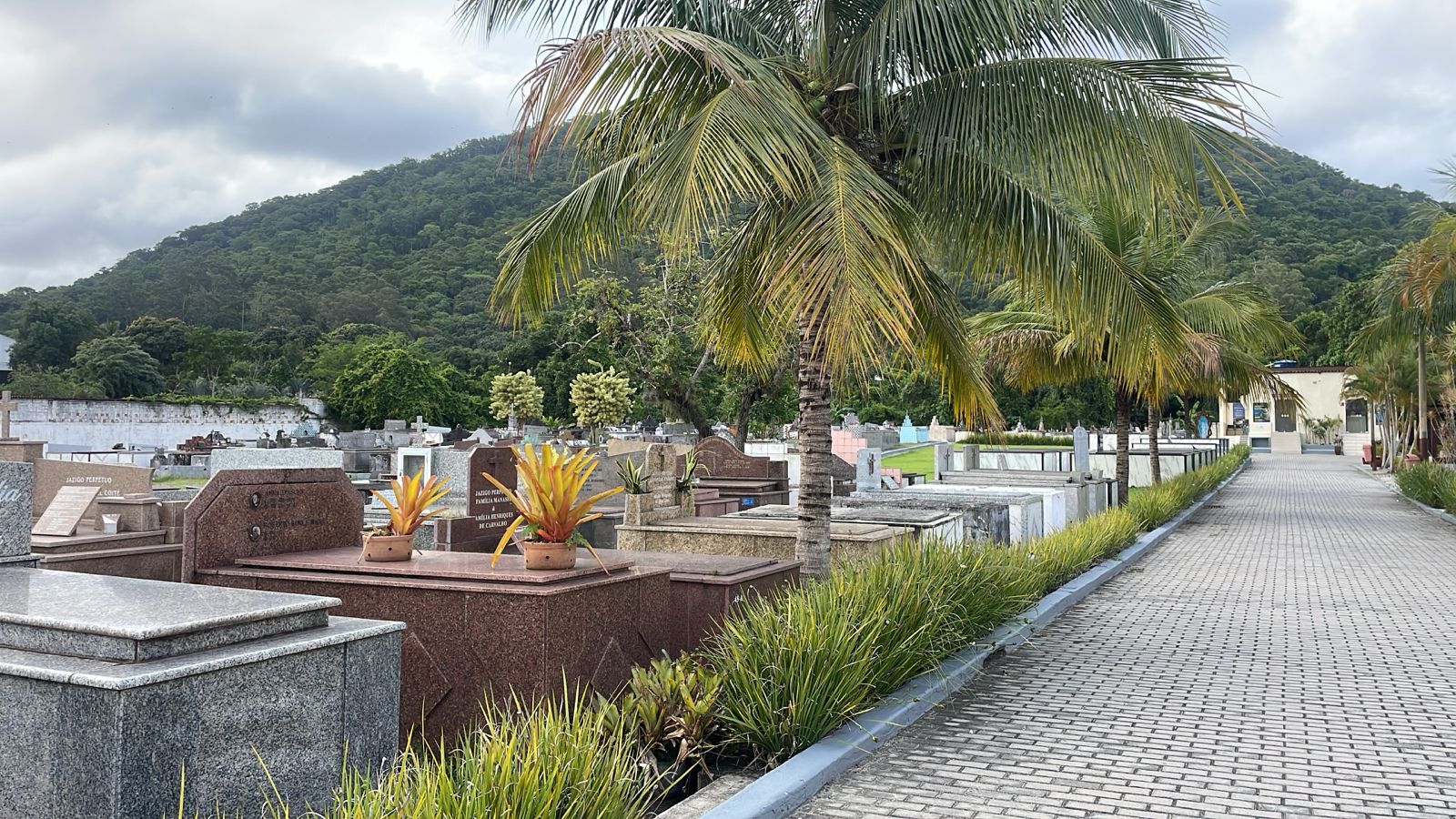 Imagem do WhatsApp de 2025-02-04 à(s) 10.28.16_75a814e0