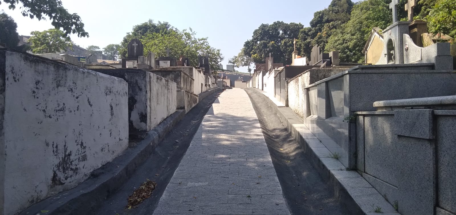 Imagem do WhatsApp de 2025-02-04 à(s) 10.32.54_bf3bbabd