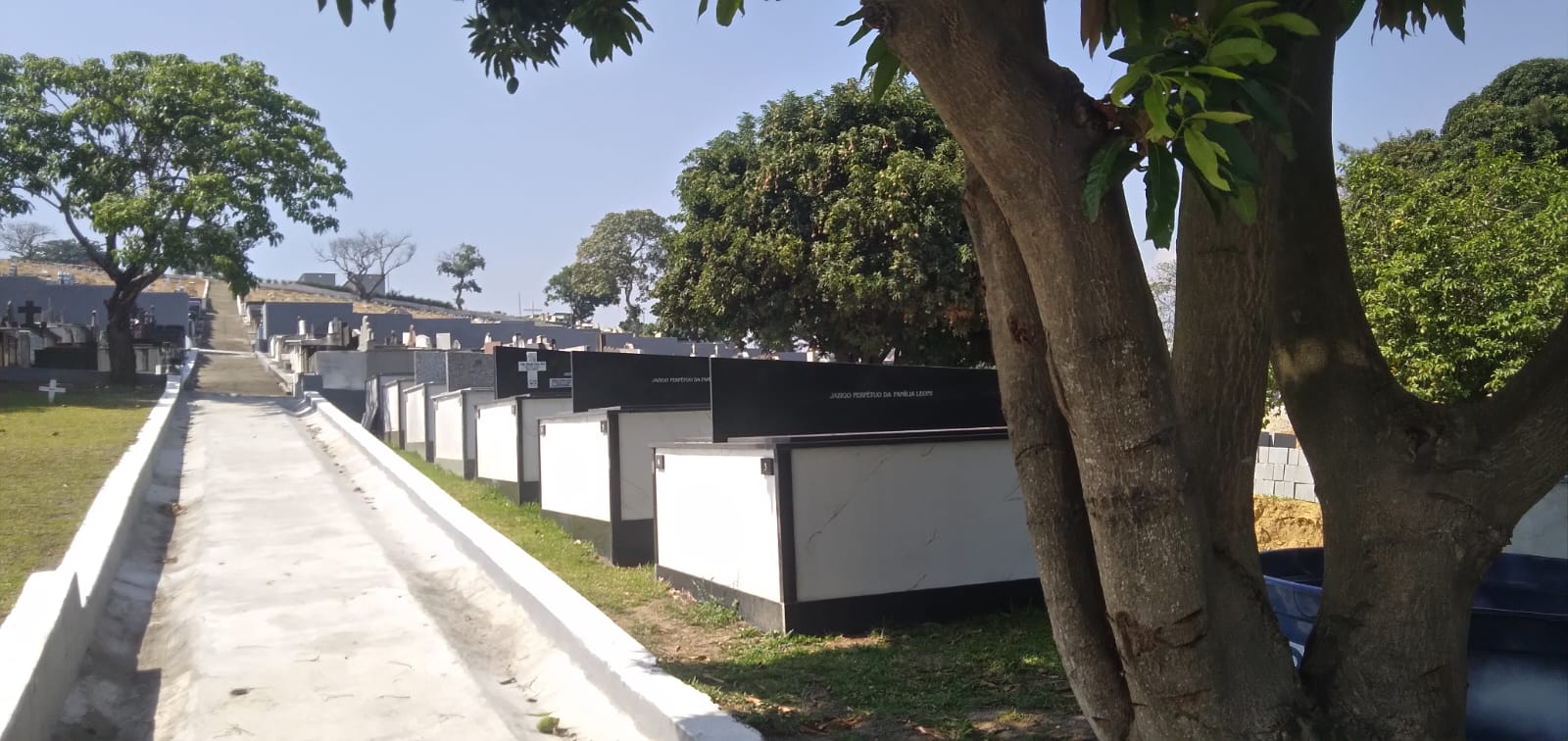 Imagem do WhatsApp de 2025-02-04 à(s) 10.32.55_7062ba77