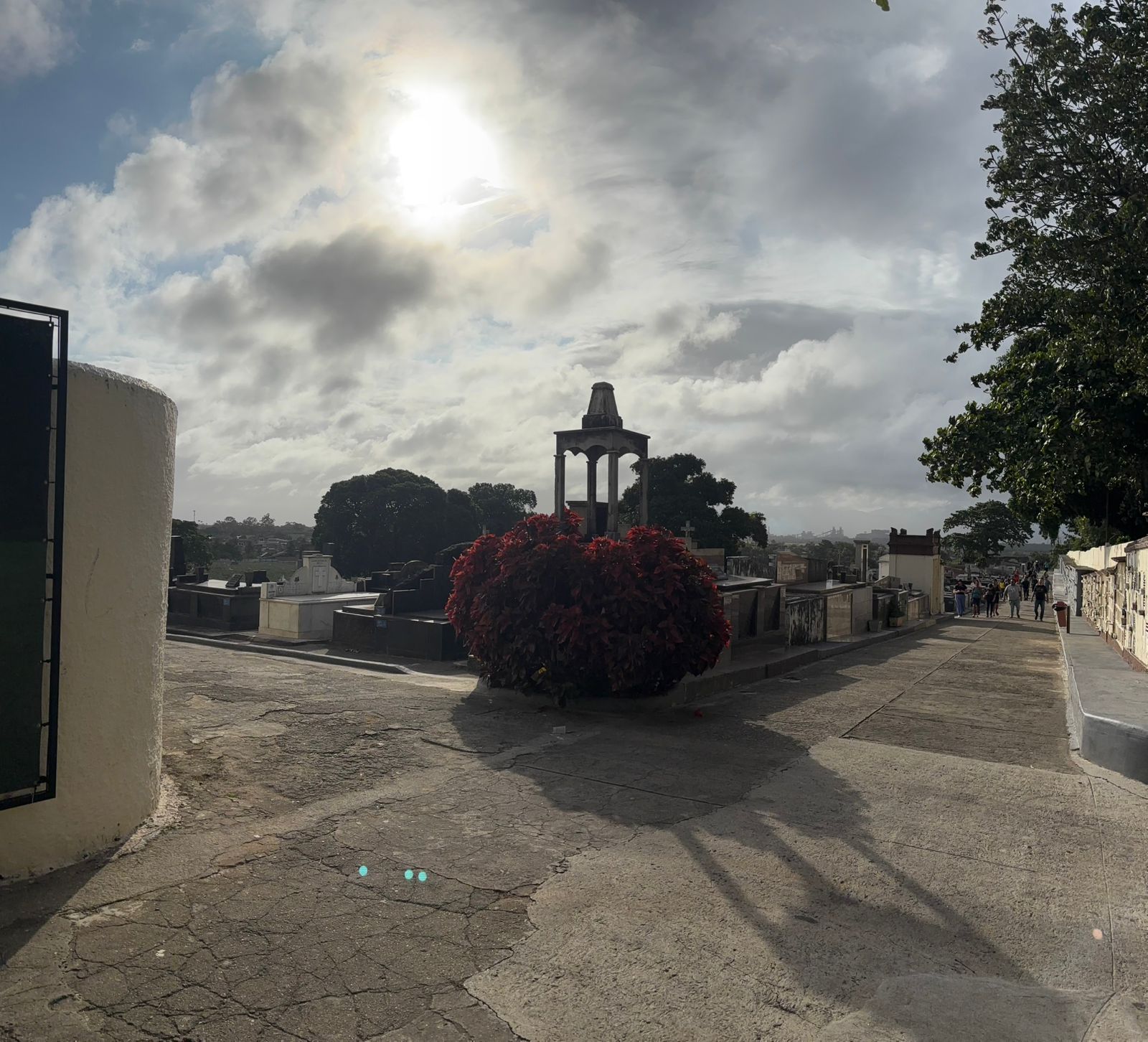 WhatsApp Image 2025-04-11 at 17.34.26 (1)