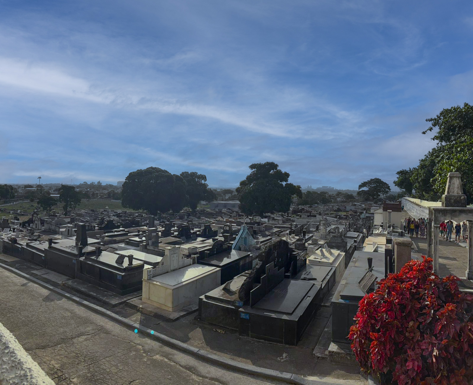 WhatsApp Image 2025-04-11 at 17.34.26